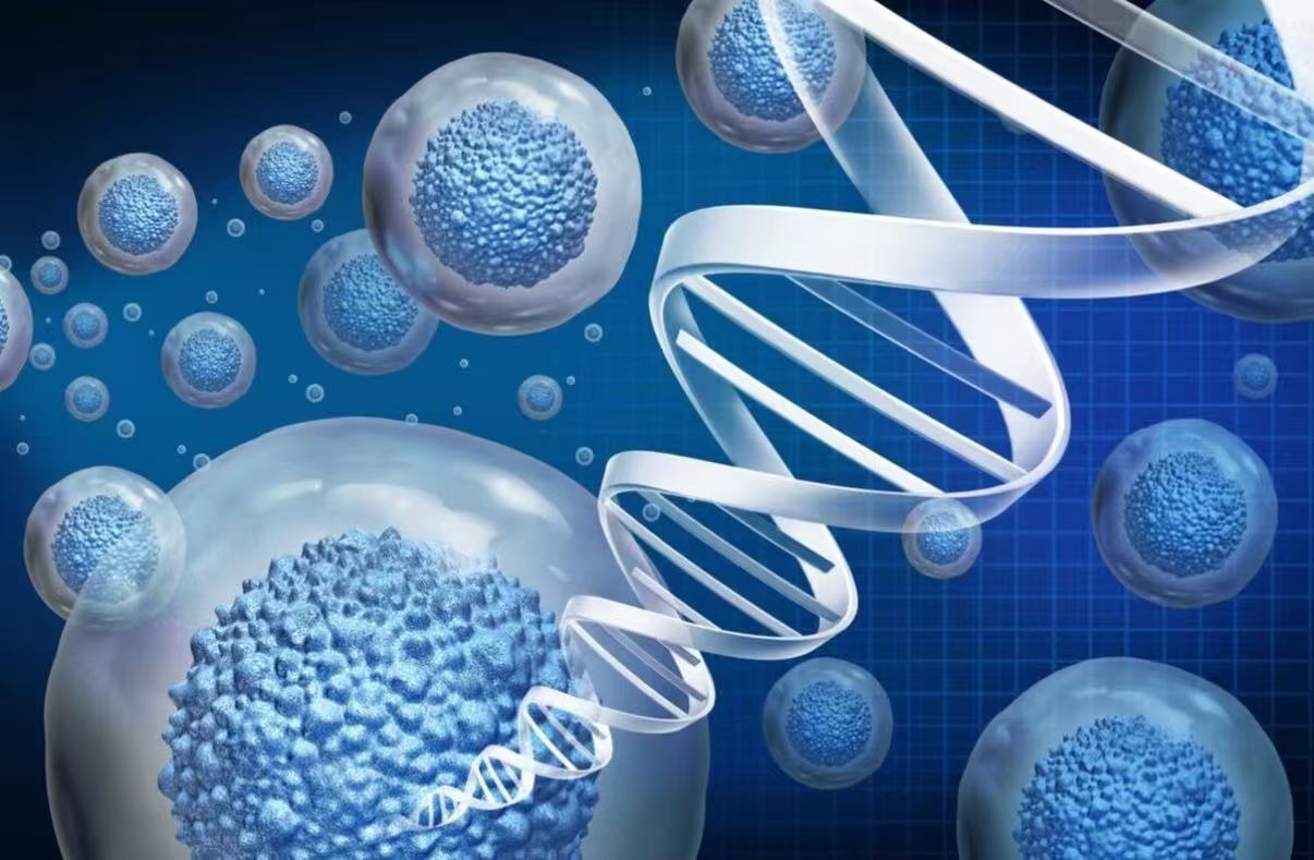 Regenerative Wellness & Cellular Renewal